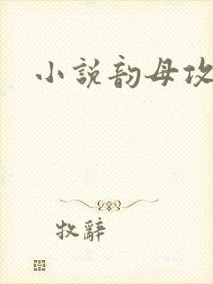 小说韵母攻略