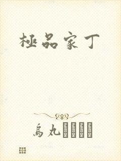 极品家丁