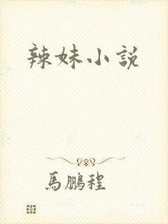 辣妹小说