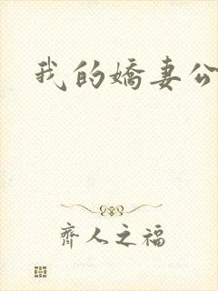 我的娇妻公务员