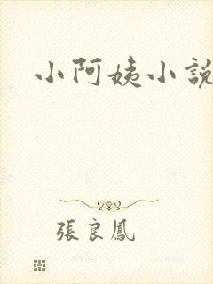 小阿姨小说