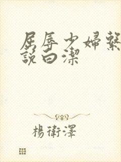 屈辱少妇系列小说白洁封面