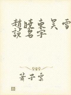 赵晓东吴雪晴小说名字
