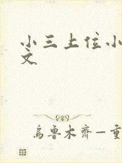 小三上位小说全文