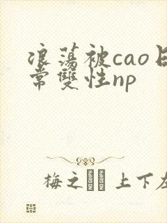 浪荡被cao日常双性np