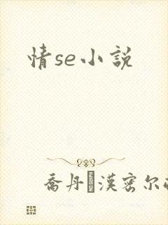 情se小说