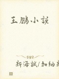 王鹏小说