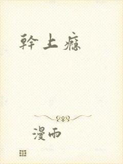 干上瘾封面