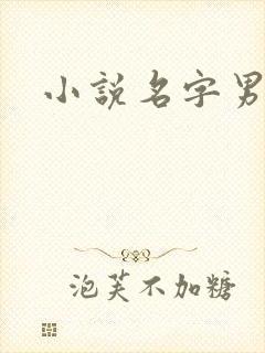 小说名字男生