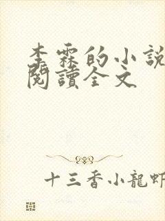 李霖的小说免费阅读全文
