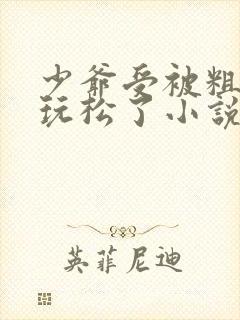 少爷受被粗汉H玩松了小说封面