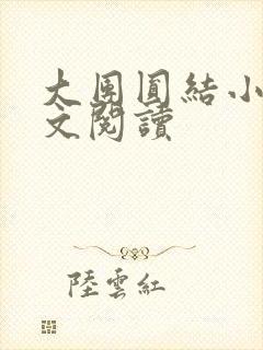 大团圆结小茹全文阅读
