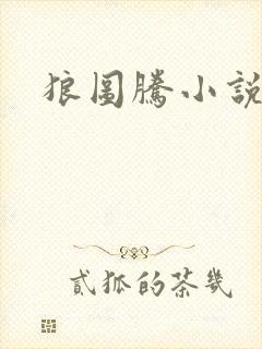 狼图腾小说