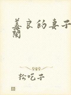 善良的妻子王晓兰封面