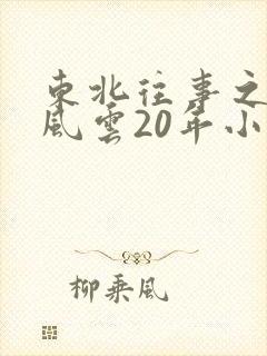 东北往事之黑道风云20年小说