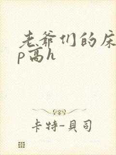 老爷们的床奴np高h