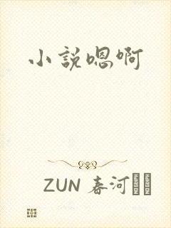 小说嗯啊