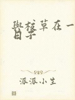 与校草在一起的日子