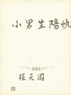 小男生阳帆