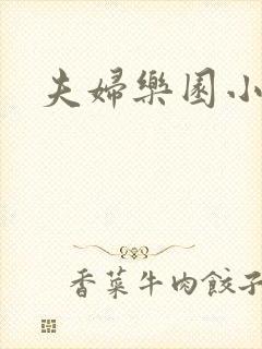 夫妇乐园小说