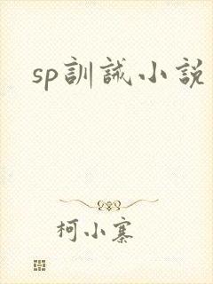 sp训诫小说