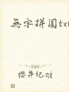 无字拼图txt封面
