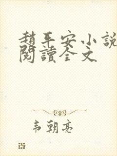 赵平安小说免费阅读全文封面