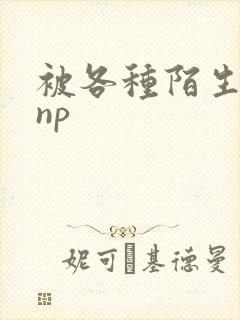 被各种陌生人 np