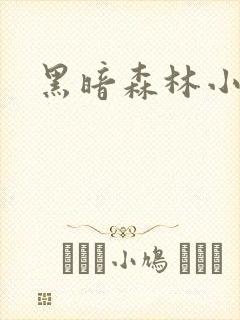 黑暗森林小说