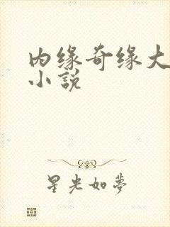内缘奇缘大团圆小说