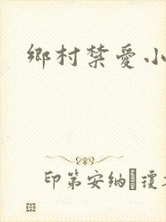 乡村禁爱小说