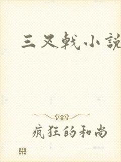 三叉戟小说封面
