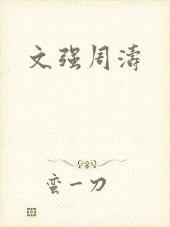 文强周涛