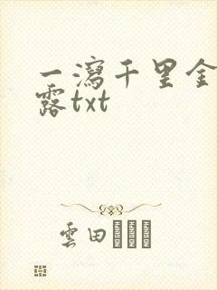 一泻千里金银花露txt
