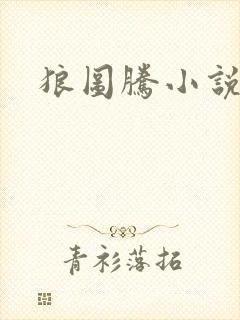 狼图腾小说封面
