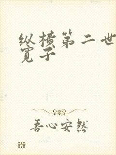 纵横第二世界 宽子