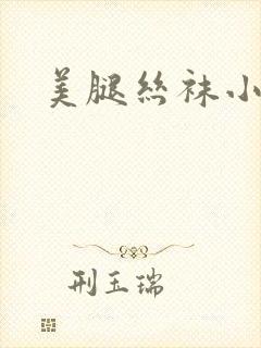 美腿丝袜小说
