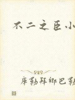 不二之臣小说