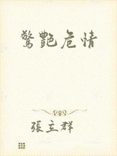 惊艳危情封面
