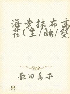 海棠抹布高岭之花(生/触/双)