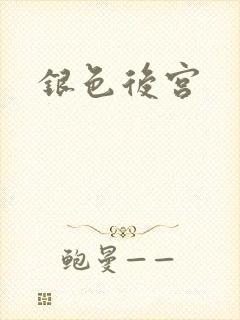 银色后宫封面
