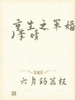 重生之军婚(h)李晴封面