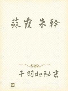 苏霞 朱干封面