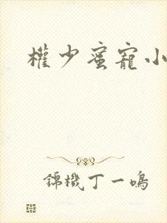 权少蜜宠小娇妻