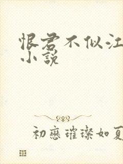 恨君不似江楼月小说