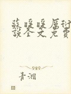 苏暖暖厉衍琛小说全文免费阅读封面