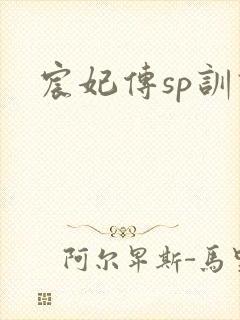宸妃传sp训诫