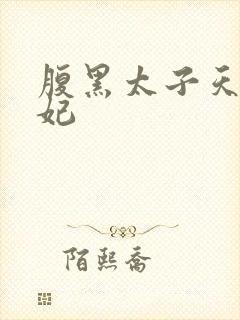 腹黑太子天降萌妃封面