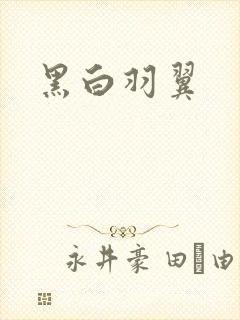 黑白羽翼封面