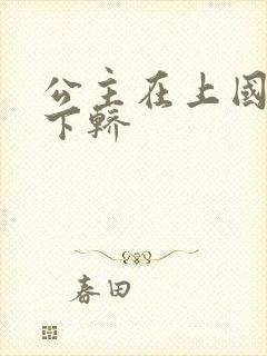 公主在上国师请下轿